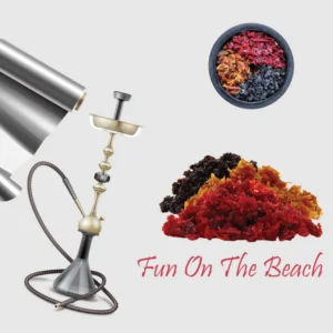 Fun On The Beach